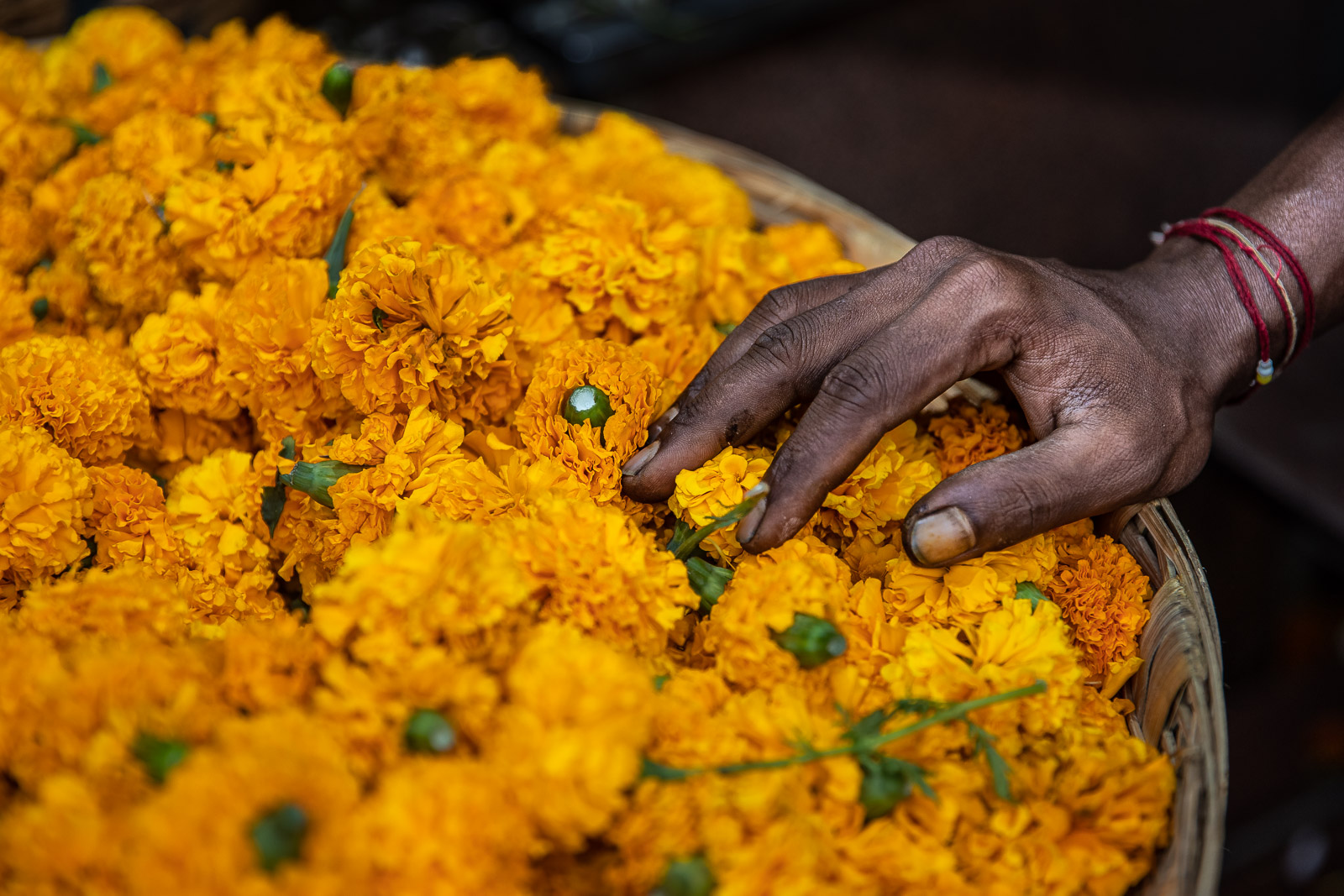 India2018 A85I6413 1DX Mark II ©SimonePaleari